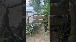 Sugar Pot Beach St Mary Jamaica 