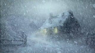 Winter Blizzard Sounds for Deep Sleep, Reduce Stress | Soothing Wind & Snowstorm Ambience