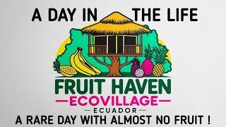 A Day in the Life at Fruit Haven Ecovillage  | Vegan Living in Ecuador