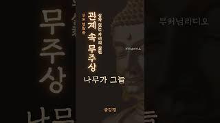 관계 속 무주상  | 금강경 | 집착 없는 자비의 실천 | 부처님말씀 | 불교 명상, 명언, 마음치유
