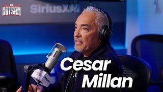 Cesar Millan Offered to Help President Biden's Dog | Jim Norton & Sam Roberts