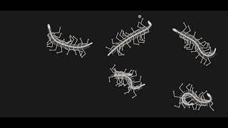 Creatures on the screen.