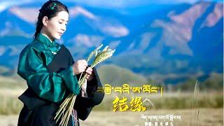 Phakmo Dolma Tibetan Song ལེན་མཁན། ཕག་མོ་སྒྲོལ་མ། བརྩེ་བའི་ཨ་ལོང་།