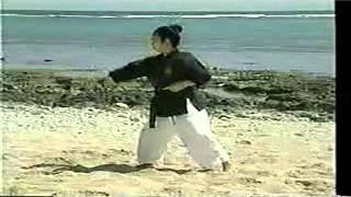 Sensei Shimpo Matayoshi Kobudo Video