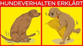 Die Bedeutung der 21 seltsamsten Hundeverhaltensweisen | Fantastische Fakten über Hunde