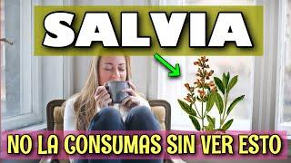  SALVIAS PARA que SIRVE  10 BENEFICIOS [GENIAL]  Salvia officinalis