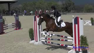 Amanda Boyce on Mercury Show Jumping Thru The Years