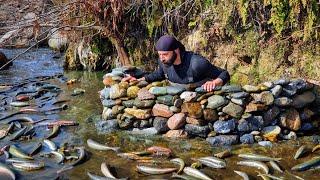 Fishing With Extraordinary Techniques / Fishing With Primitive Methods /  Her Gün 30 kg Balık