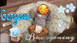 SOLE Reborn Baby Doll Box Opening 2022! | Mya Reborns