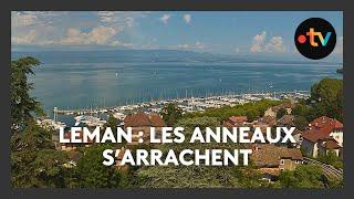 "Arrêter de nous prendre pour des blaireaux" : dans les ports du lac Léman, les anneaux s’arrachent