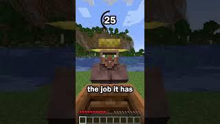 Guess the Minecraft block in 60 seconds 45