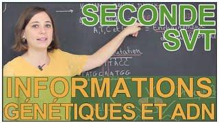 L'ADN et les informations génétiques - SVT Seconde - Les Bons Profs