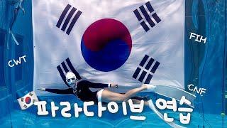 [水이로그] 8월의 파라다이브 수심트레이닝  | 첫CNF, FIM, CWT골고루 연습하기, freediving, freediving vlog.