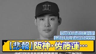 【悲報】阪神・佐藤蓮…