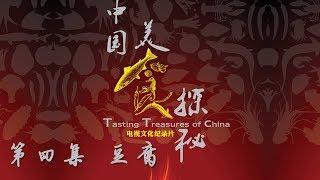 《中国美食探秘》第四集 豆腐 | CCTV纪录