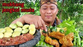 MUKBANG LALAP BATANG PEPAYA MENTAH + JENGKOL MUDA + PETE MENTAH + ikan asin SAMBAL TERASI