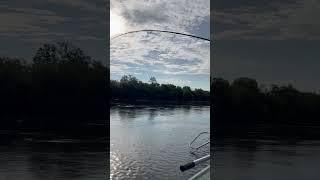 Кета рвёт снастифрикцион дымит.  #камчатка 2021 #рыбалка #fishing