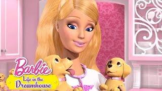 Cachorrinhos demais | BARBIE LIFE IN THE DREAMHOUSE