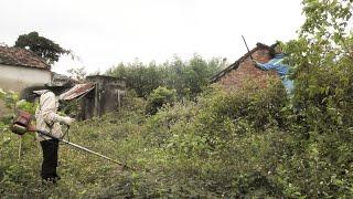 Abandoned House Cleaning: Hidden Dangers Contained in Weeds! | | Clean Up Free