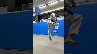 TAEKWONDO / 720 KICK