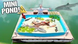 Building POND MONSTER Mini Pond Filled With Exotic WILD FISH!