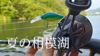 【夏の相模湖】コンパクトクランクがハマった日