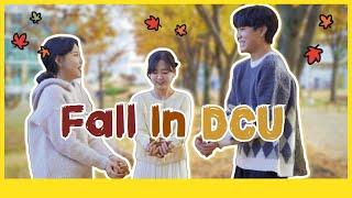 Fall in DCU  ｜ 대구가톨릭대학교