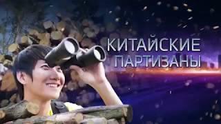 глобальный распил как чиновники продают российский лес друзьям бизнесменам