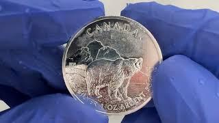 How to get rid of milk spots on silver coins! #silver #coin #epic #stacking #gold #preciousmetals