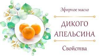 Как с помощью эфирного масла Апельсин притянуть УДАЧУ и ПОЗИТИВ в свою жизнь? Свойства и Применения