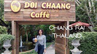 Doi Chang Cafe Mae Sarouy Chiang Rai, Thailand ร้านกาแฟดอยช้าง เชียงราย - Thailand Travel Channel