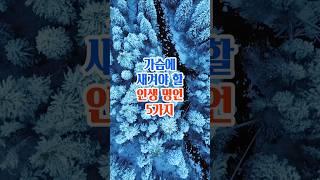 가슴에 새겨야할 인생명언 5가지#철학#좋은글#지혜#인생조언