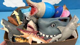 Ultimate Shark Toys Unboxing for Kids: Fun & Educational Sea Animals!