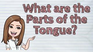 (SCIENCE) What are the Parts of the Tongue? | #iQuestionPH