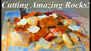 CUTTING Beautiful ROCKS! SLABBING Montana Agates, Plume Agates, Jasper-Agates, and More!