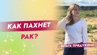 Как пахнет рак? #shorts #short