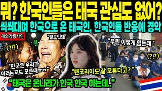 [해외감동사연] "한국인들은 이렇게까지 태국에 무관심하나요?" 씩씩대며 한국으로 온 태국 여기자, 한국인들 반응에 경악하는데..