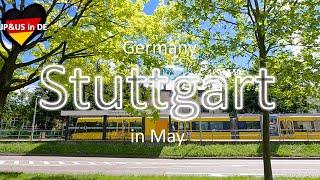 【Stuttgart in May】Walking in Stuttgart Germany / Weilimdorf / Maibaumfest / Schloss Solitude