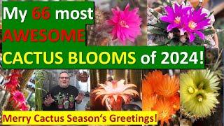 MY MOST WONDERFUL CACTUS BLOOMS of 2024 #cactusflower #cacti #cactuscollection #2024review #cactus