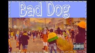 BAD DOG