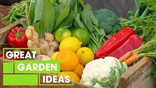 Growing Vegetables in Winter | Gardening | Great Home Ideas