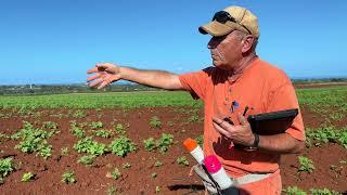 Colorado Certified Seed Potatoes - Post Harvest Test 2022