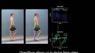 2D Video-Analysis Technology to Analyze Gait