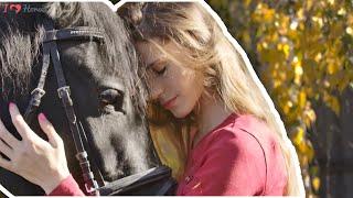 Do You Know If Your Horse Misses You When You're Gone?