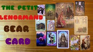 Everything you need to know about the Petit Lenormand Bear card!