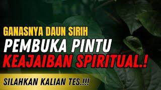  JANGAN UNTUK MAIN MAIN..!! INILAH KEAJAIBAN DAN GANASNYA DAUN SIRIH DALAM DUNIA SPIRITUAL