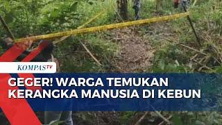 Geger! Warga Karangasem Bali Temukan Kerangka Manusia di Kebun