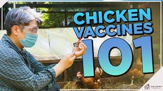 Chicken Vaccination: What You Need To Know