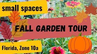 Small Spaces Fall Garden Tour | What's bloomin' & growin' in Zone 10a