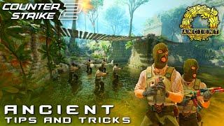 Tips & Tricks T Side | CS2 Ancient